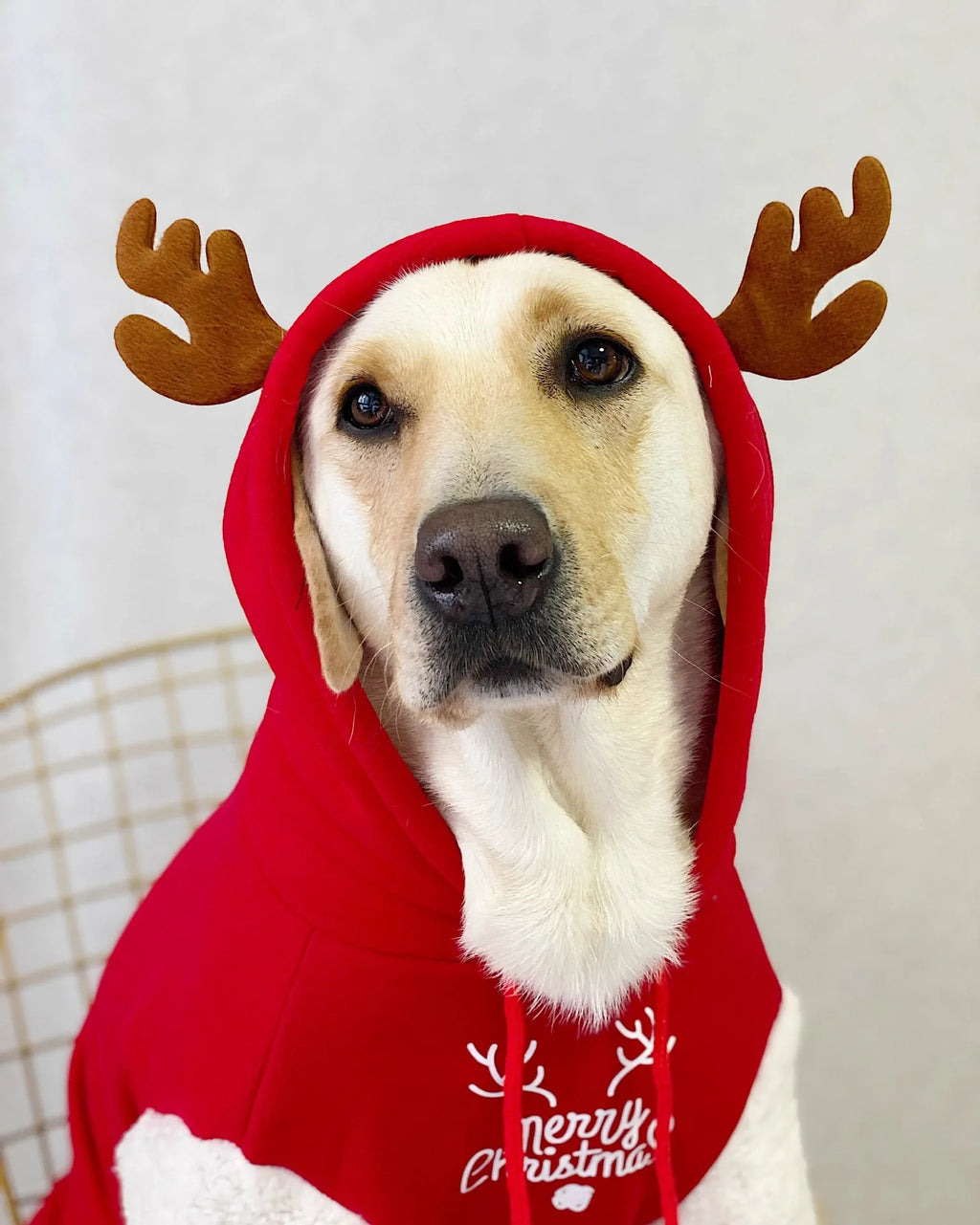 Pet Dog Clothes Winter Warm Cotton Fleece Christmas Fawn Sweatshirt Large Dog Golden Retriever Labrador