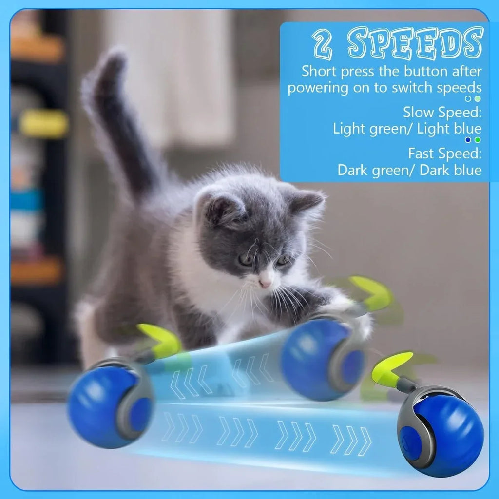 New Cat Interactive Ball ToyFaux Tail Smart Pet Electric Toy Dog Cat Training Imitate Mouse for Pet Play Automatic Rolling Ball