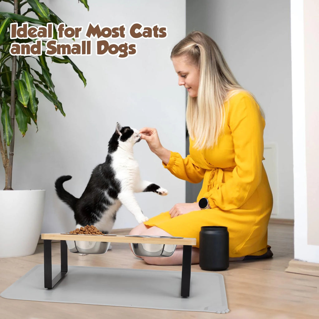 Elevated Cat Bowls Pet Feeder 15° Tilted Raised Cat Food Bowls with Wooden Stand 2 Stainless Steel Bowls for Cats and Puppy