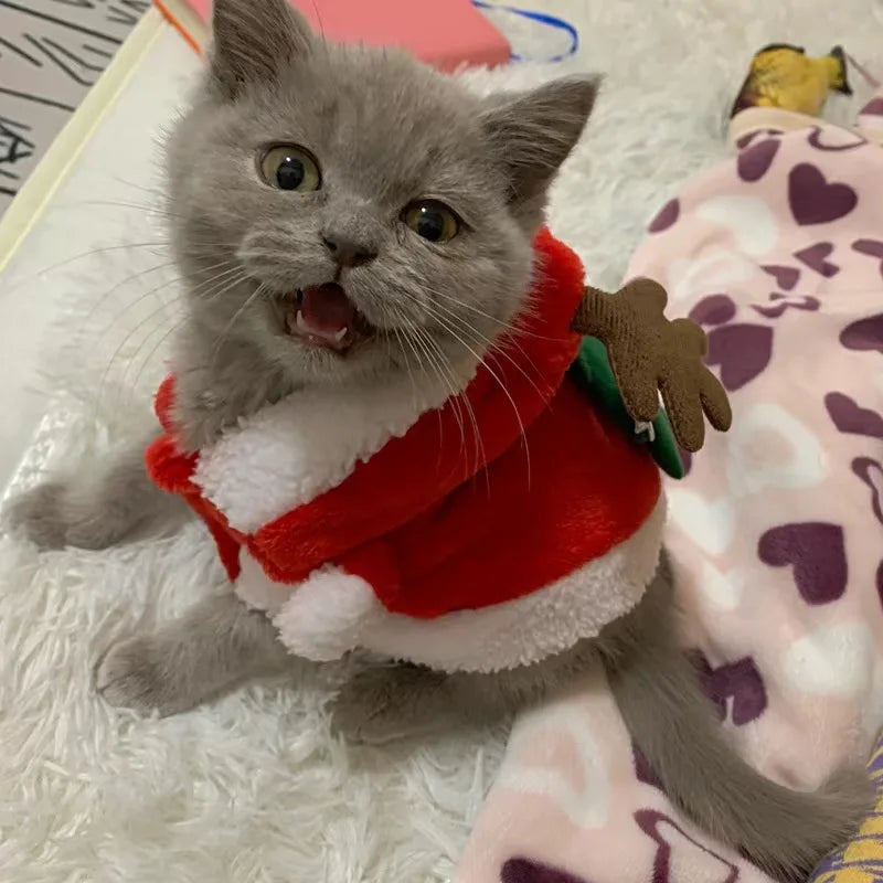 Christmas Sphynx Cat Hooded Sweater Winter Warm Pet Costume for Cats Gotas Katten Garfield Clothes Sweatshirt mascotas Clothing